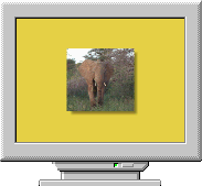Хранитель экрана African Safari