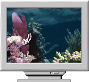 Хранитель экрана для компьютера Aquatica Waterworlds