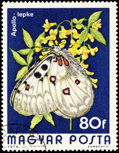 Аполлон бабочка (Parnassius apollo) - на марке Венгерской почты (Magyar Posta)