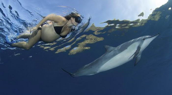 Дельфины-акушерки