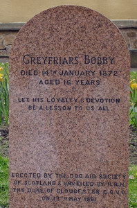 Грейфраерс Бобби - могила, плита
