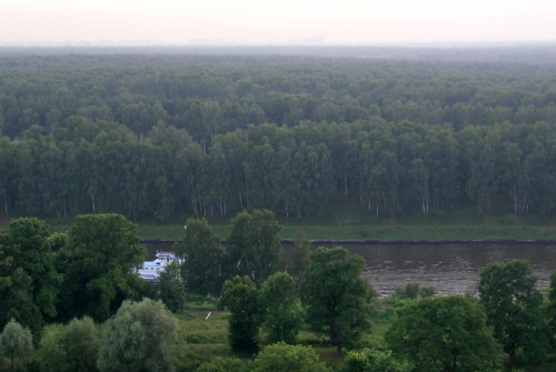 Химкинский лес с высоты птичьего полета