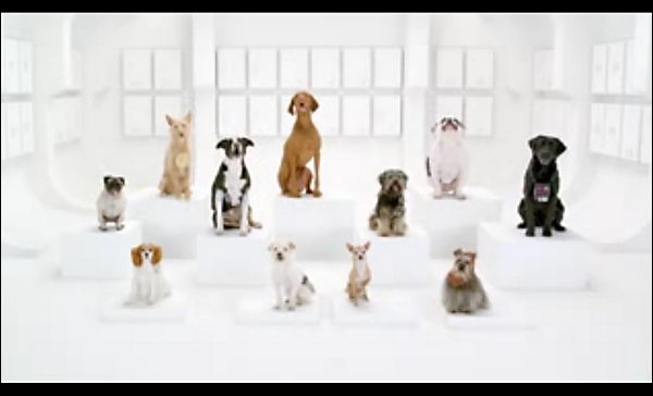 Собаки в рекламе Volkswagen