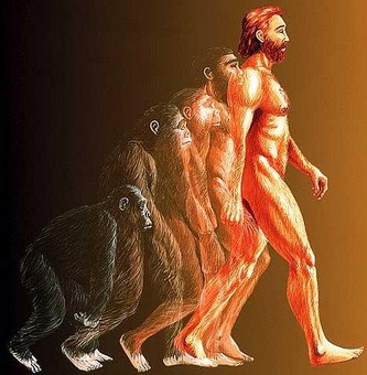 Эволюция животных и человека