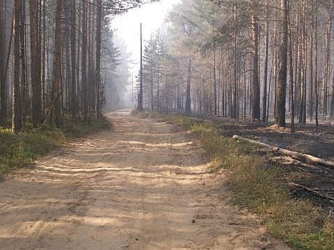 Огонь дошел до дороги, дальше он не пройдет. Это спасло огромные территории леса