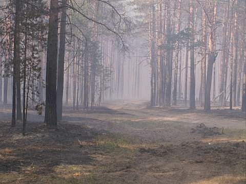 То же самое место после пожара